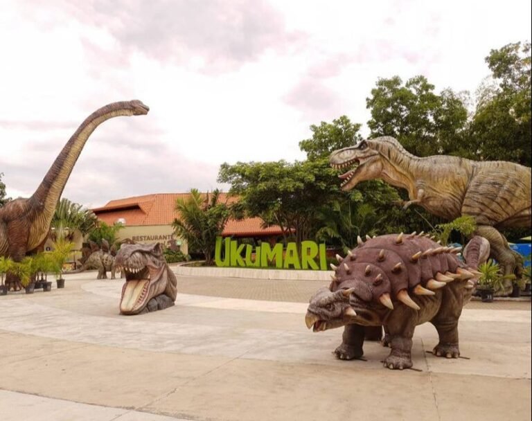BIOPARQUE UKUMARÍ RECIBE ACREDITACIÓN INTERNACIONAL POR SU BUEN TRABAJO EN LA PROTECCIÓN DE LOS ANIMALES
