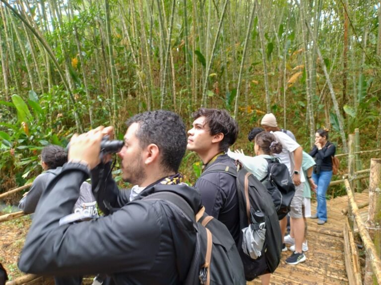 UN TOTAL DE 63 AVES FUERON REGISTRADAS EN EL BIOPARQUE UKUMARÍ DURANTE LA CELEBRACIÓN DEL FESTIVAL DE LAS AVES