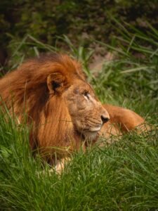 Picture of Bioparque ukumarí