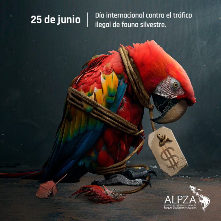 EL IMPACTO VITAL DEL BIOPARQUE UKUMARÍ CONTRA EL TRÁFICO ILEGAL DE FAUNA SILVESTRE