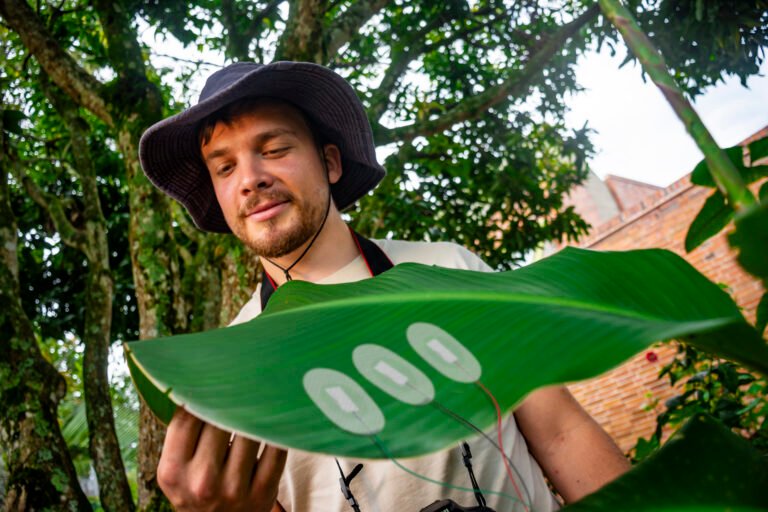 EL ÚNICO JARDÍN BIOSONORO DEL MUNDO, LLEGA AL BIOPARQUE UKUMARÍ