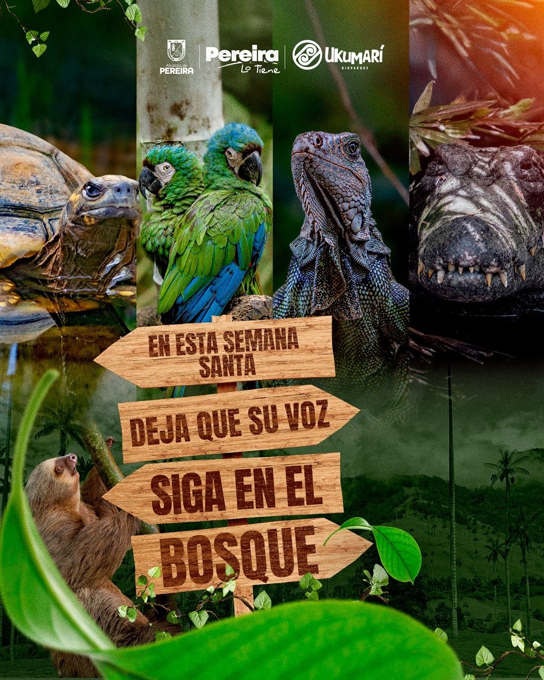 tráfico fauna semana santa